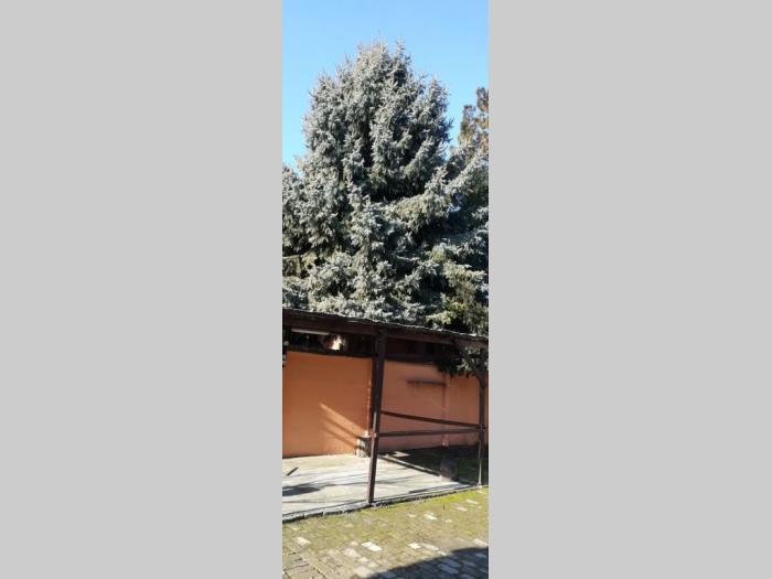 stambeno poslovna kuća u subotici besplatni mali oglasi