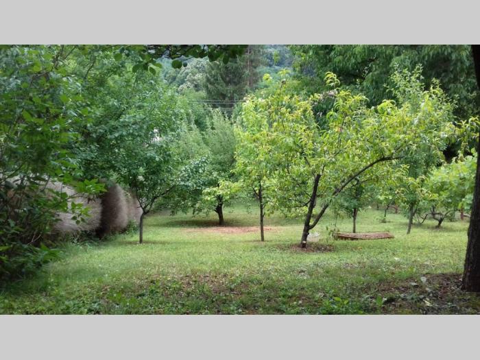 kuća na prodaju banja vrdnik besplatni mali oglasi