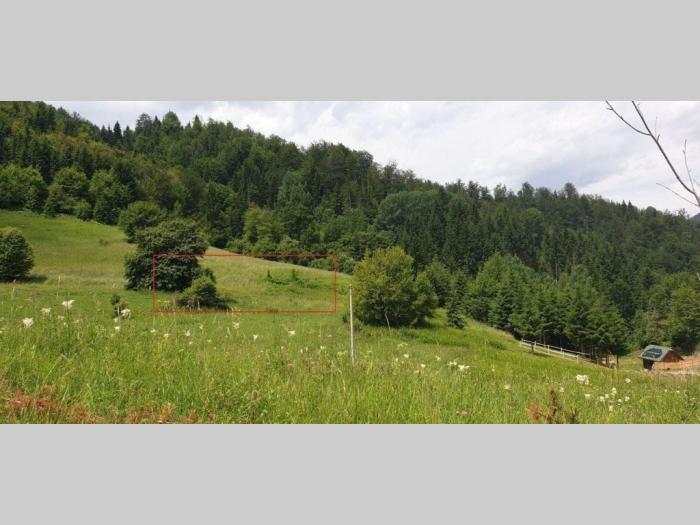 na prodaju plac u zaovinama tara besplatni mali oglasi