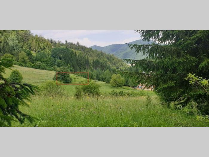 na prodaju plac u zaovinama tara besplatni mali oglasi