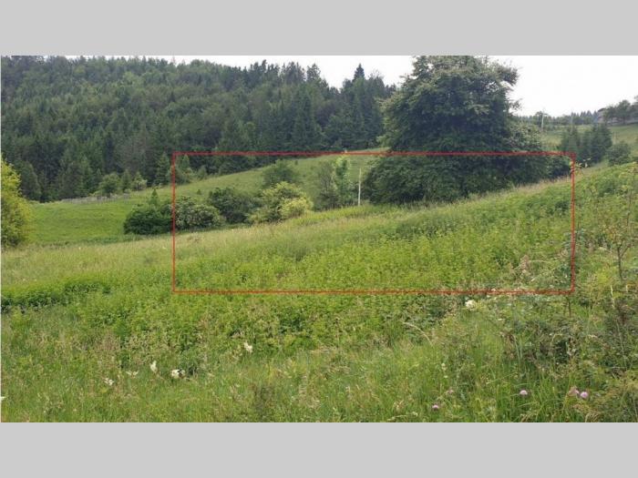 na prodaju plac u zaovinama tara besplatni mali oglasi