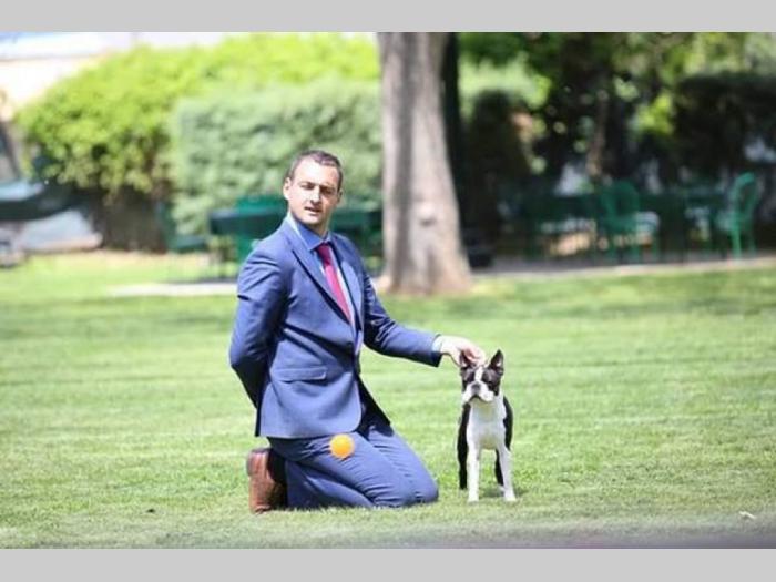 boston terijer slobodan za parenje besplatni mali oglasi