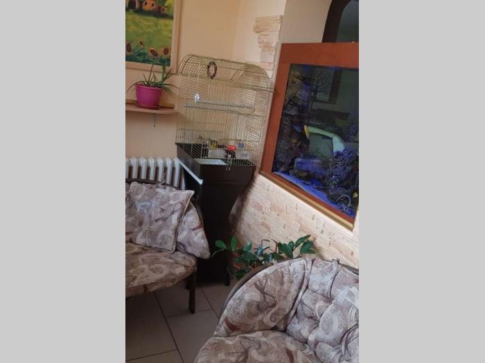 troiposoban stan novi sad novo naselje besplatni mali oglasi