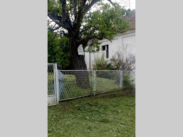 na prodaju kuća u aranđelovcu besplatni mali oglasi