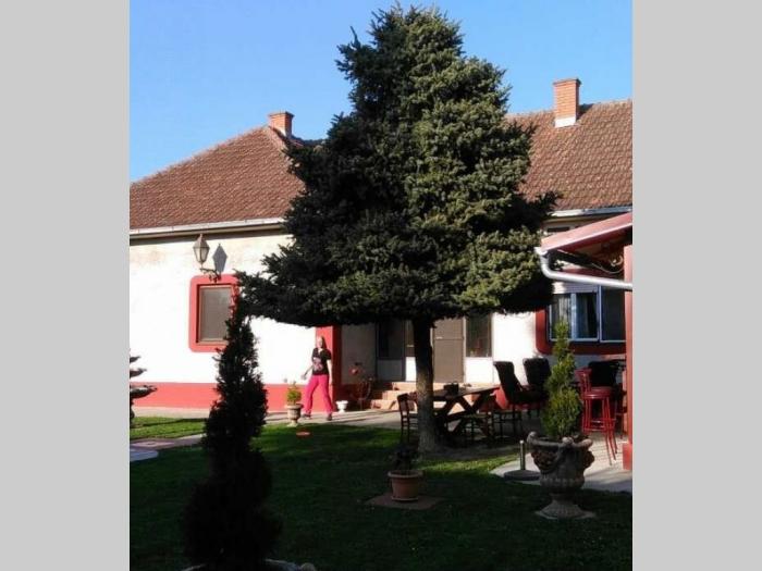 hitno prodajem kuću u despotovu besplatni mali oglasi