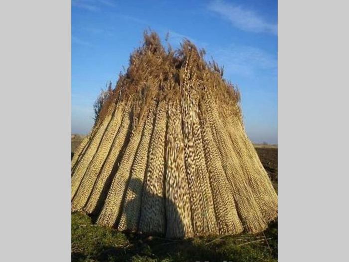 presovana i pletena trska besplatni mali oglasi
