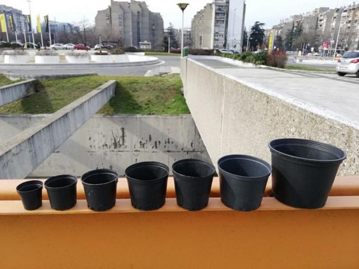 rasadne saksije za cveće, povrće, voće višegodisnje besplatni mali oglasi