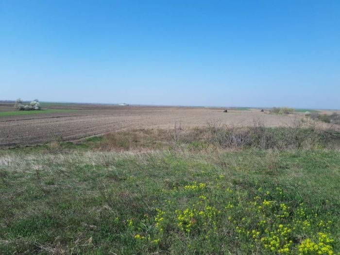 plac sa pogledom na dunav besplatni mali oglasi