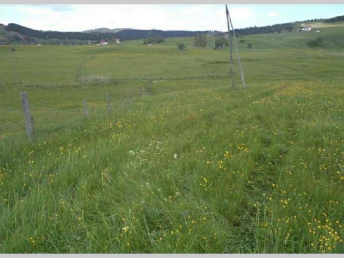 hitno prodajem plac na zlatiboru semegnjevo besplatni mali oglasi