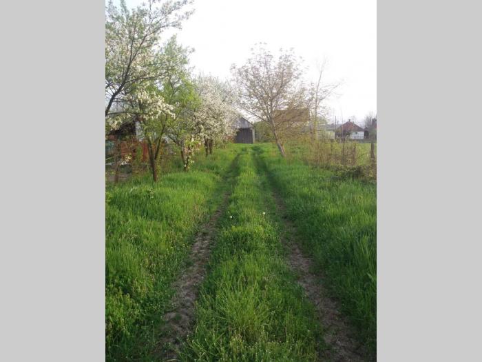 stambeno poslovni prostor besplatni mali oglasi