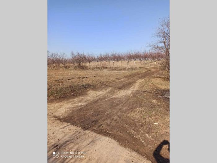 prodajem placeve zaklopača besplatni mali oglasi