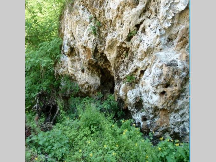 kuća sa imanjem u selu ba ljig besplatni mali oglasi