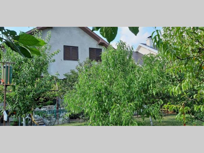 prodajem kuću u sremskoj mitrovici besplatni mali oglasi