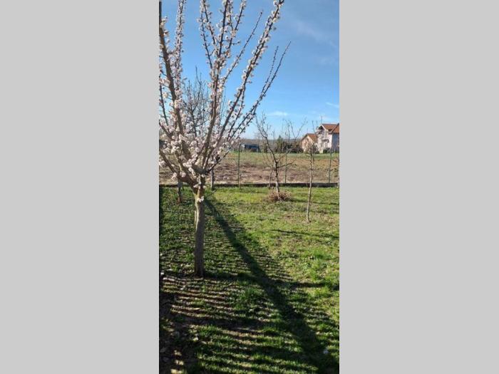 kuća u bečmenu, opština surčin besplatni mali oglasi