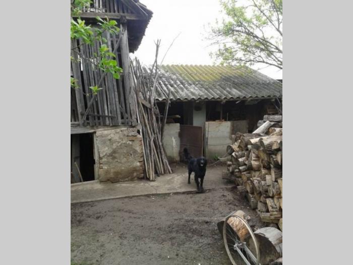 prodajem kuću u gardinovcima besplatni mali oglasi
