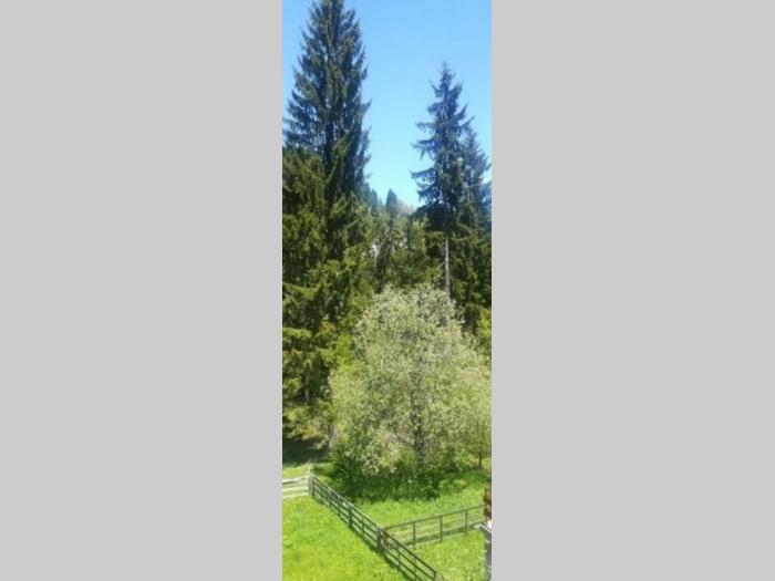 prodajem vikendicu na zlataru sa velikim placem besplatni mali oglasi