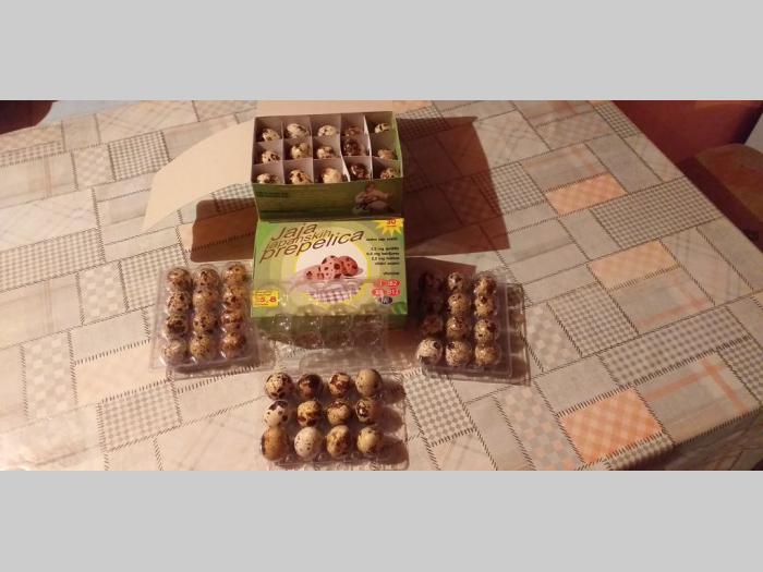 jaja japanske prepelice besplatni mali oglasi