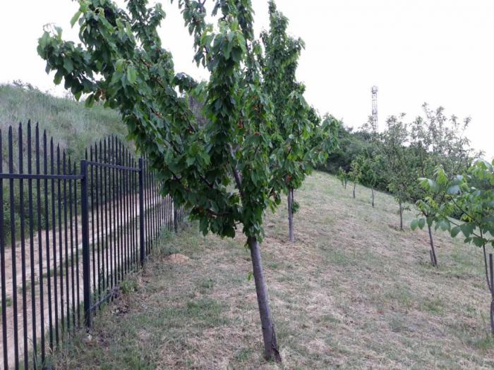 prodajem turističko građevinsko zemljište besplatni mali oglasi