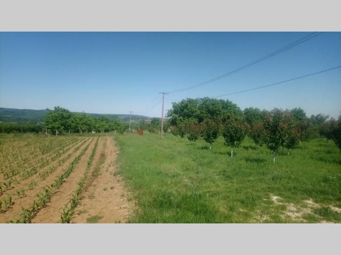 vikendica kuća na fruškoj gori,vrdnik besplatni mali oglasi