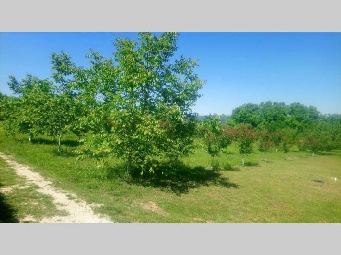 vikendica kuća na fruškoj gori,vrdnik besplatni mali oglasi
