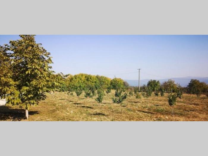 vikendica kuća na fruškoj gori,vrdnik besplatni mali oglasi