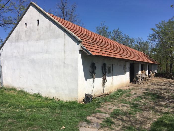 salaš nadomak melenaca besplatni mali oglasi