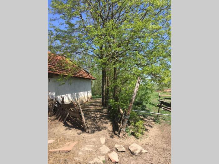 salaš nadomak melenaca besplatni mali oglasi