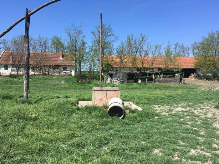 salaš nadomak melenaca besplatni mali oglasi