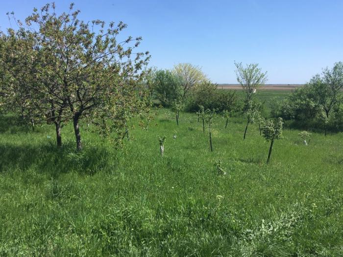 salaš nadomak melenaca besplatni mali oglasi