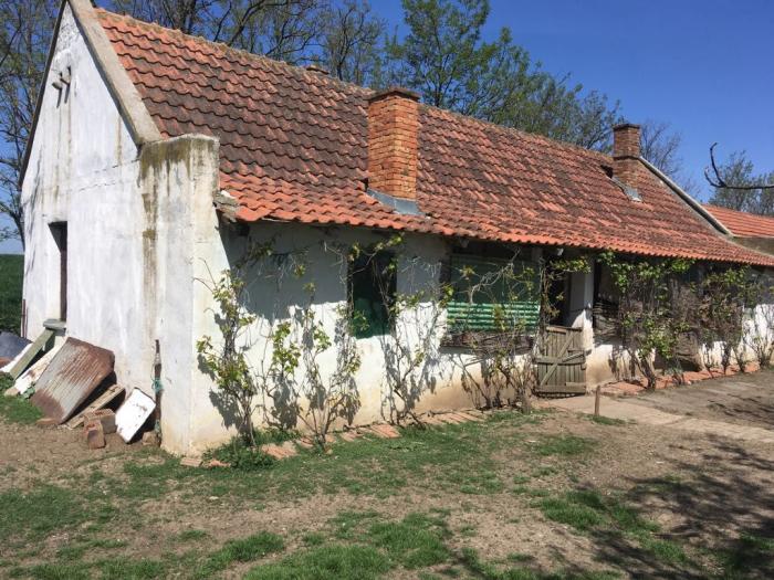 salaš nadomak melenaca besplatni mali oglasi