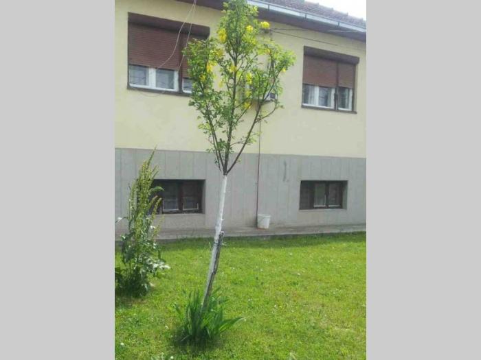 kuća na prodaju u centru mladenovca besplatni mali oglasi