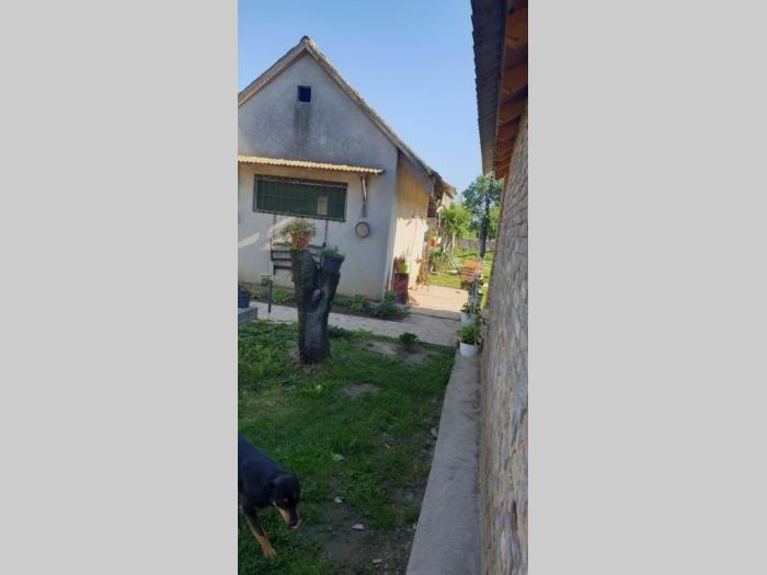 salaš u malom ritu besplatni mali oglasi
