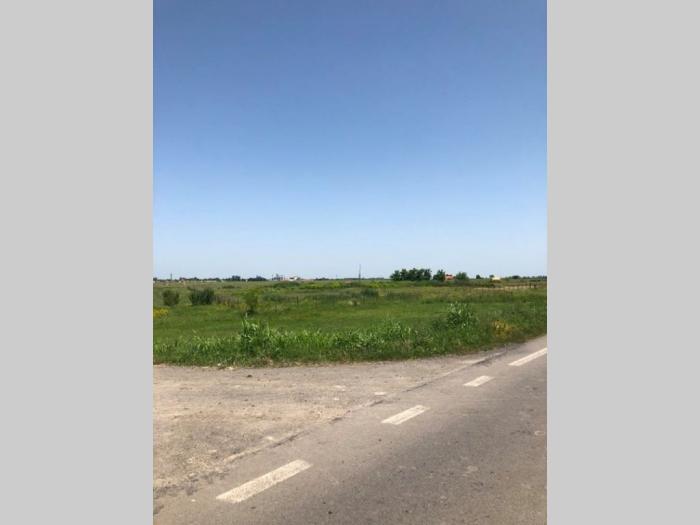 plac od 1,2 ha na putu novi sad zrenjanin besplatni mali oglasi