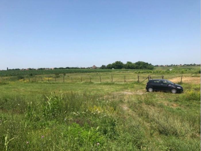 plac od 1,2 ha na putu novi sad zrenjanin besplatni mali oglasi