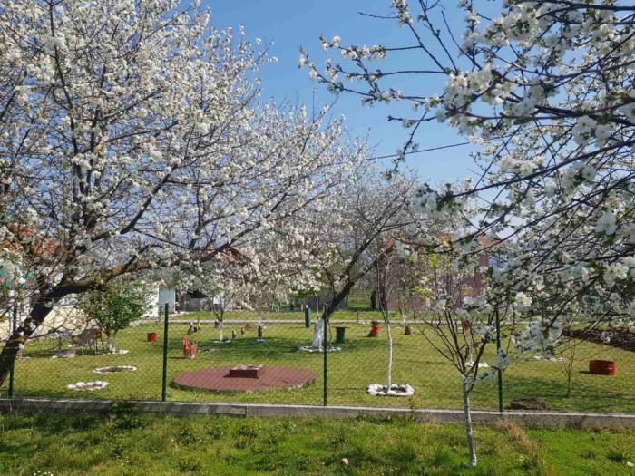 danilvgrad, novo selo, kuća i plac besplatni mali oglasi