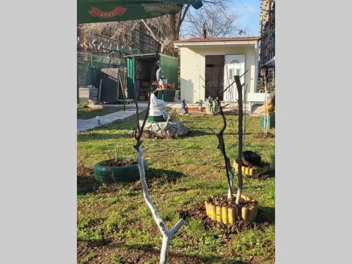 danilvgrad, novo selo, kuća i plac besplatni mali oglasi