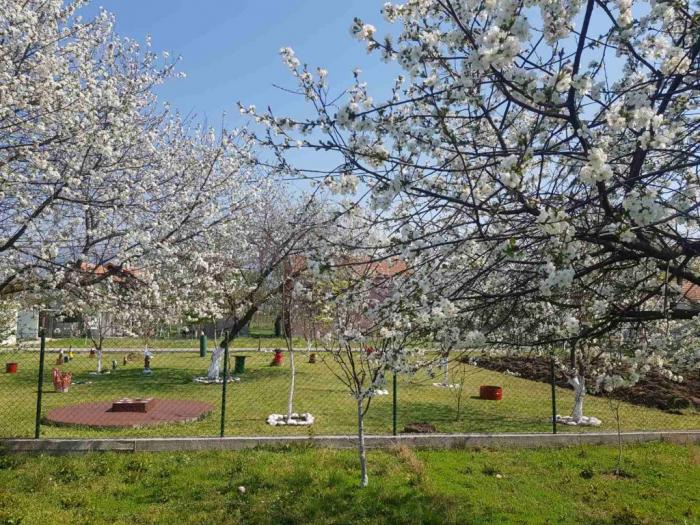 danilvgrad, novo selo, kuća i plac besplatni mali oglasi