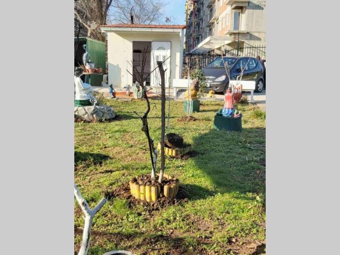 danilvgrad, novo selo, kuća i plac besplatni mali oglasi