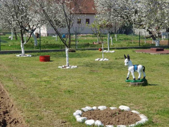 danilvgrad, novo selo, kuća i plac besplatni mali oglasi