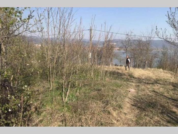 plac na samoj obali dinava vinci golubac 13 ari besplatni mali oglasi