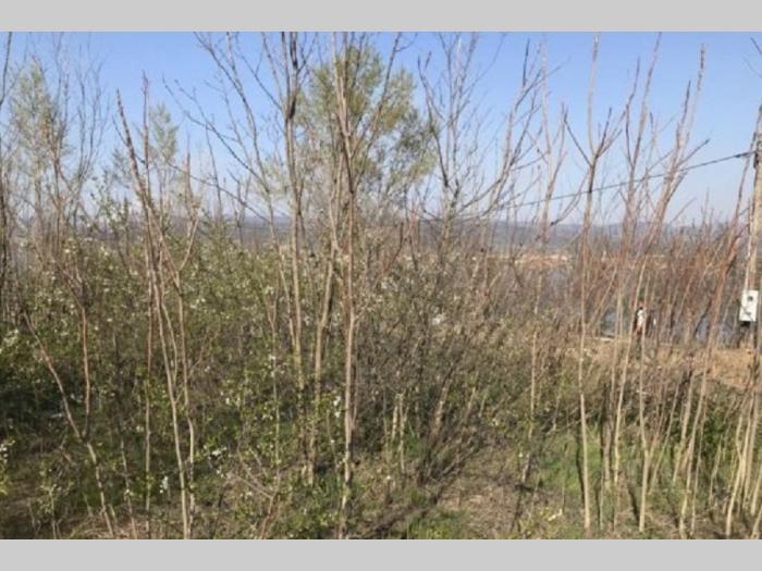 plac na samoj obali dinava vinci golubac 13 ari besplatni mali oglasi