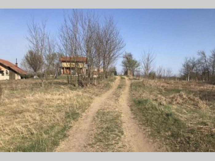 plac na samoj obali dinava vinci golubac 13 ari besplatni mali oglasi