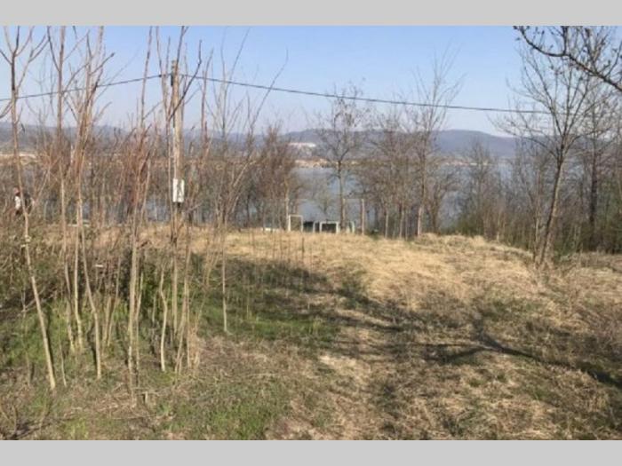 plac na samoj obali dinava vinci golubac 13 ari besplatni mali oglasi