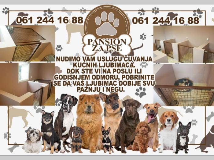 pansion za pse besplatni mali oglasi