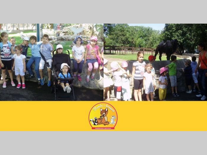 predškolska ustanova zezdara besplatni mali oglasi