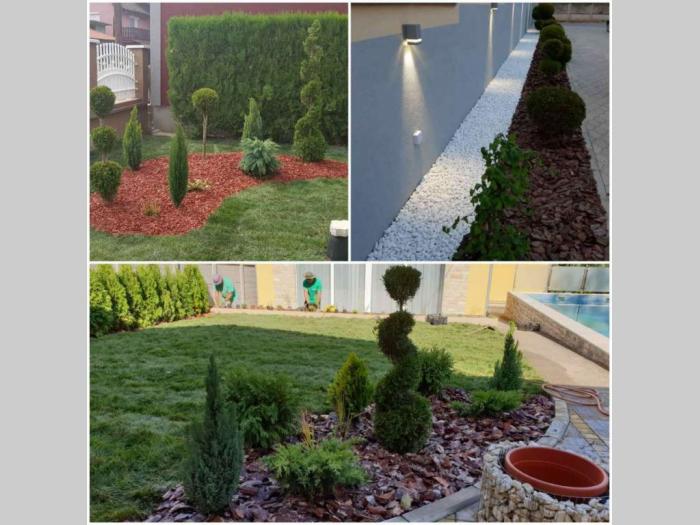 prodaja sadnica i tepih trave besplatni mali oglasi