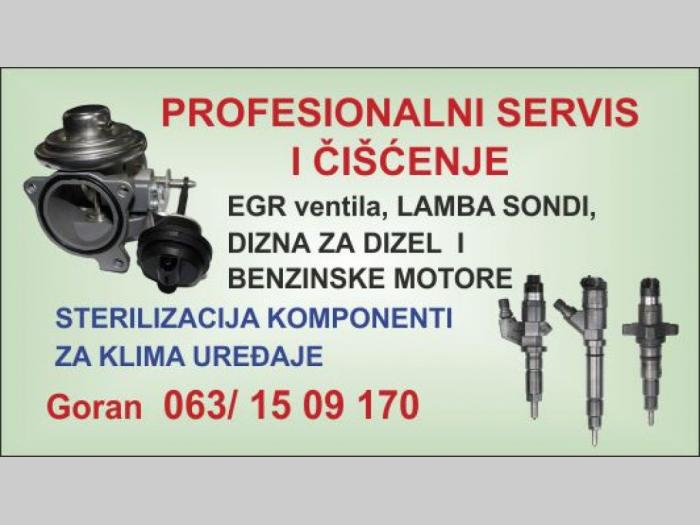 servis i remont svih vrsta dizni besplatni mali oglasi
