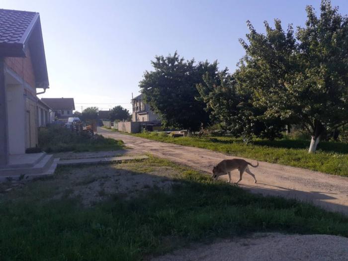 prodajem plac u pančevu besplatni mali oglasi