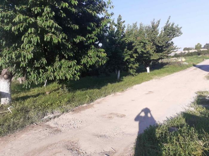 prodajem plac u pančevu besplatni mali oglasi