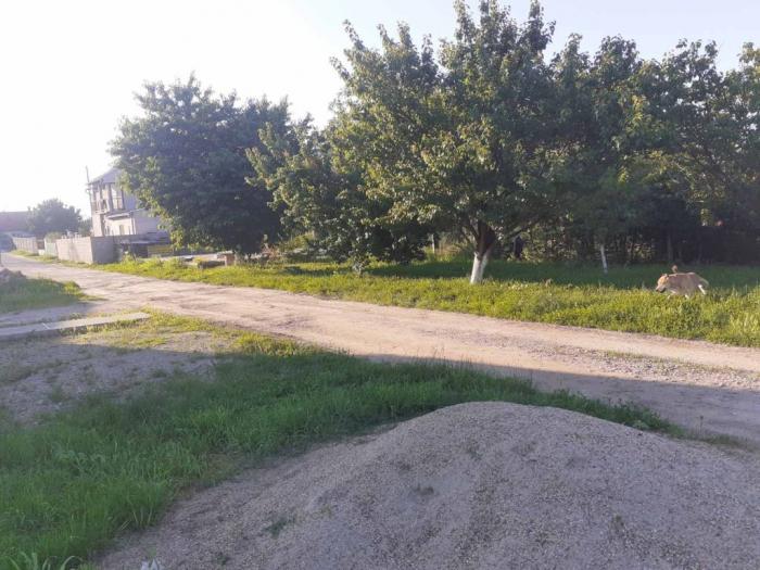 prodajem plac u pančevu besplatni mali oglasi